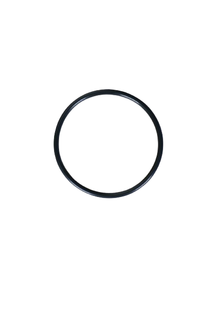 Cinturino di ricambio Xhorse Dolphin XP005