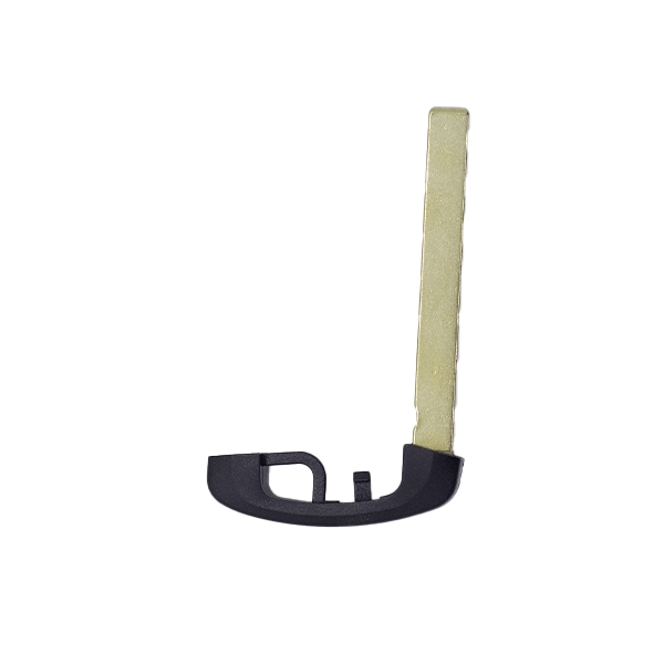 Telecomando Keyless Go Bmw Fem - Bdc Serie F  | Rif. originale: 66129312523
