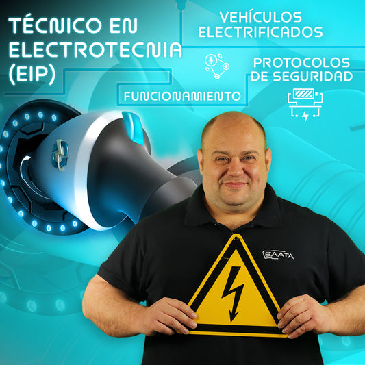Persona instruida en electrotecnia y vehículos eléctricos (EIP)