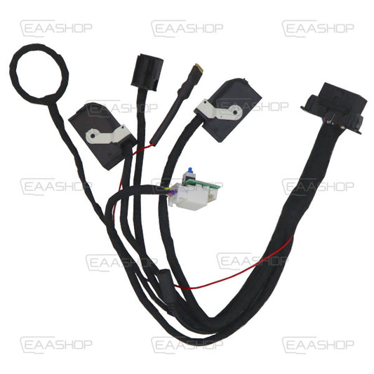 Cable De Connexion Pour Bmw Fem Compatible Avec Fem - Bdc